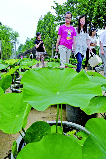 山东济南:创建生态园林城市