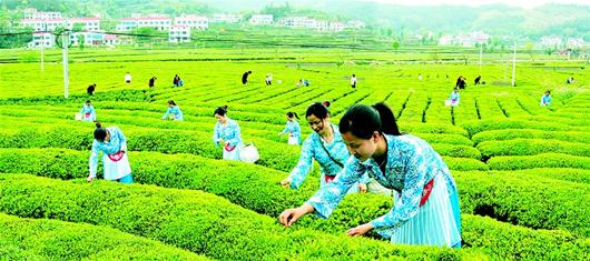 湖北5项农事景观被认定为中国最美田园 - 园