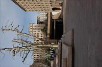 法国马赛经典欧式新古典建筑群大师建筑实景照片106